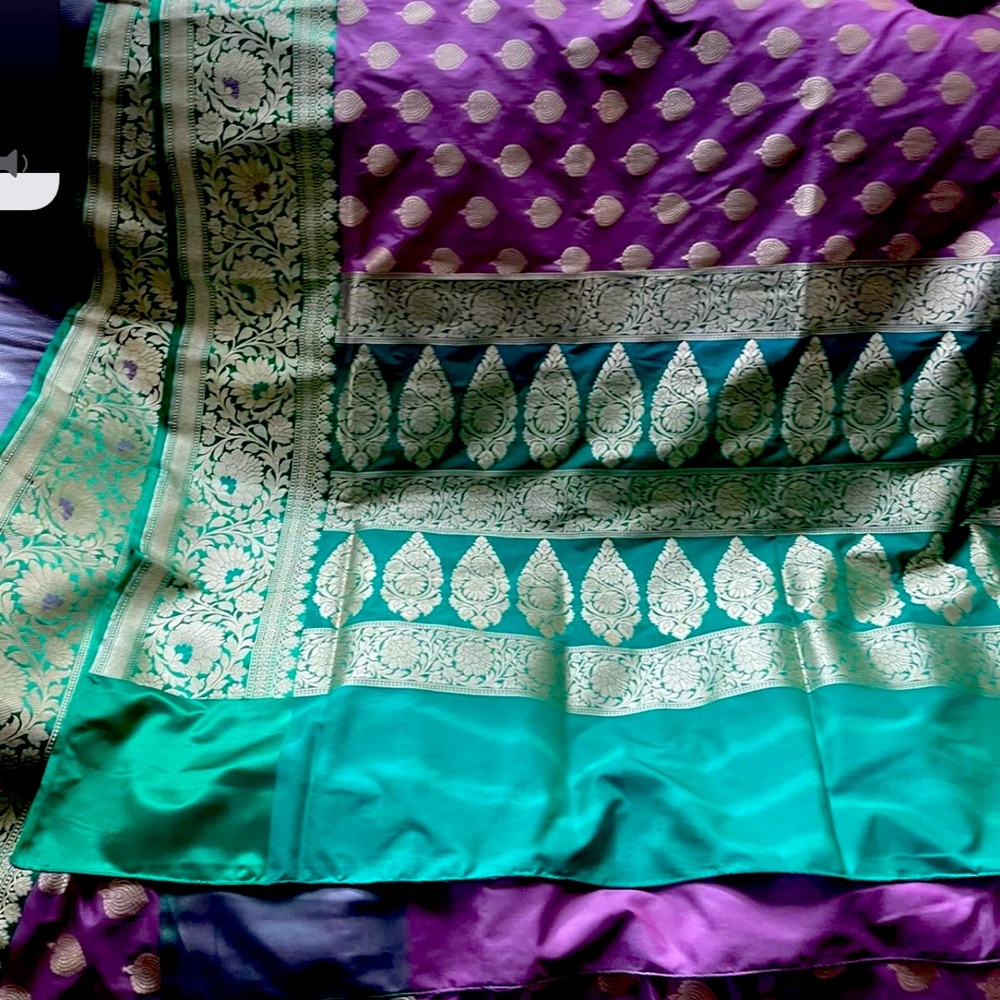 Onion Pink n Green Benarasi Silk Blend Saree n BP